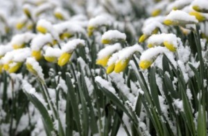 spring-storm-pa